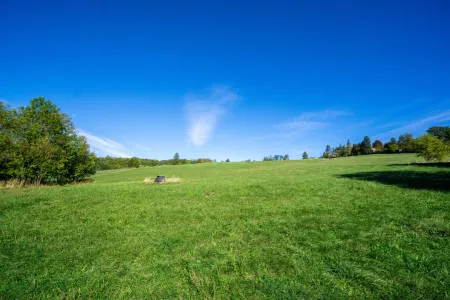 Grünland
