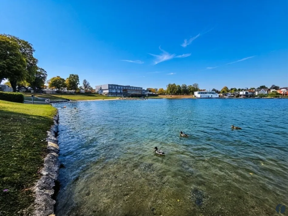 Der See
