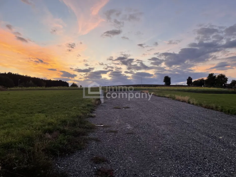 Ankommen im Waldviertel: 773 m² Baugrund in Pallweis um 25.509 €! - Bild