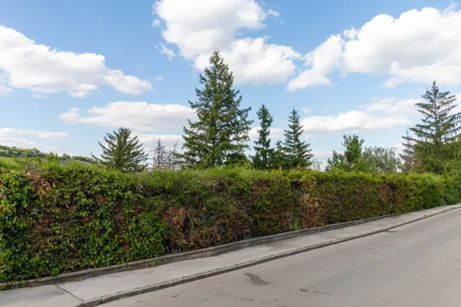 Straßenfront des Grundstückes