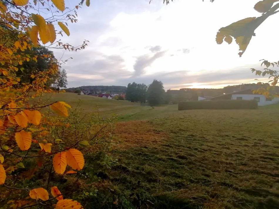 Blickrichtung SüdWest