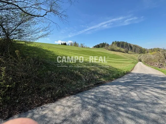 PROVISIONSFREI: BAUERNHAUS schöne Einzellage am Berg mit ca.10 ha Grund - Bild