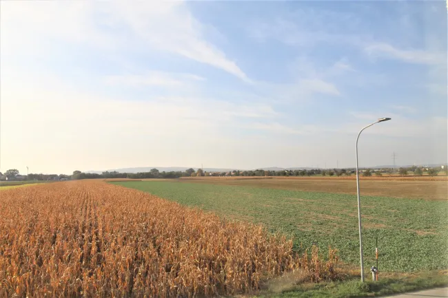 Weitblick