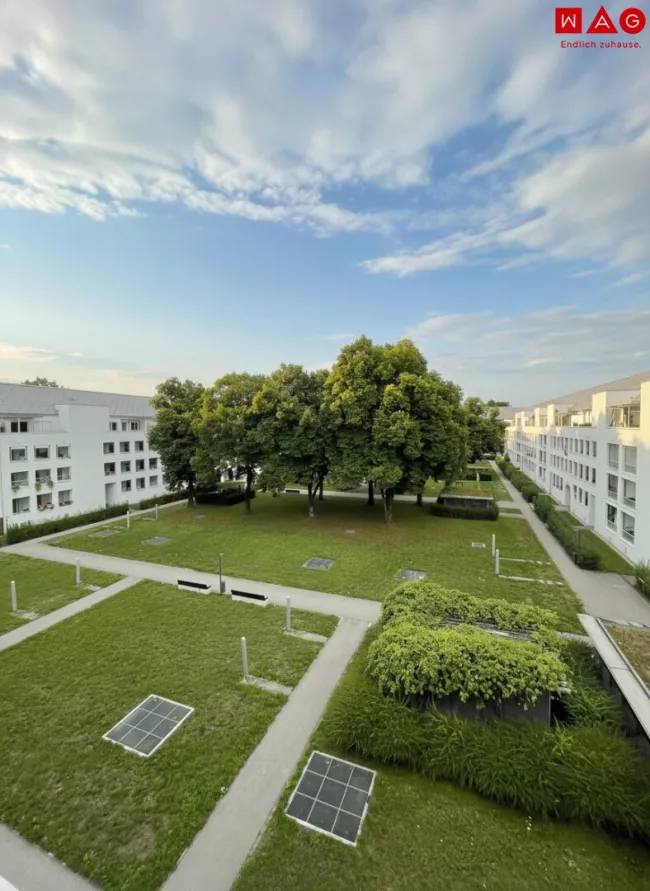 Ausblick / Außenansicht