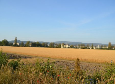 >> MIETHAUS mit 6 ZIMMER, DOPPELGARAGE, KELLER und EIGENGARTEN, am ORTSRAND!