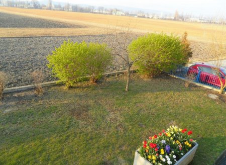 Blick vom Balkon in den Garten: die Blumen sind KI generiert