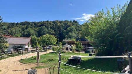 Deine Tiere und Du - im Vulkanland Steiermark bei Feldbach