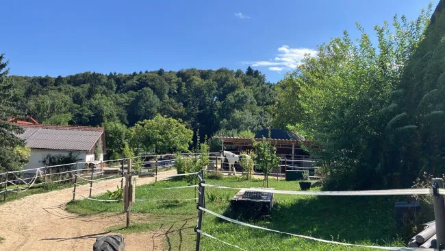 Deine Tiere und Du - im Vulkanland Steiermark bei Feldbach - Titelbild
