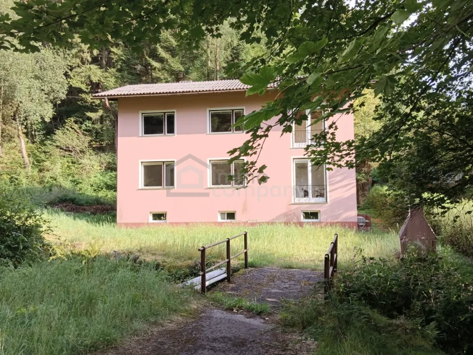 Wohnen am Waldrand mit eigenem Bächlein - Natur pur - Titelbild