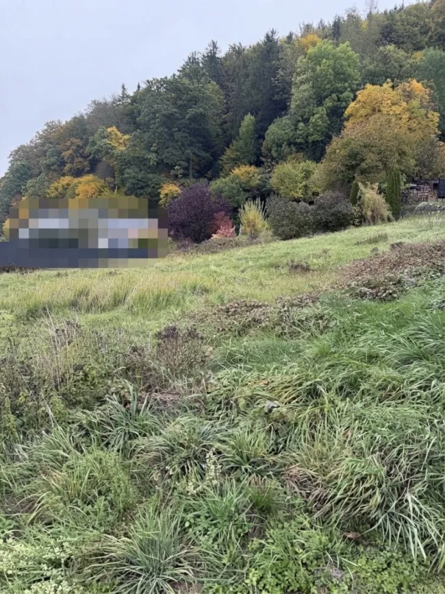 Grundstück zwischen Munderfing und Friedburg - Titelbild