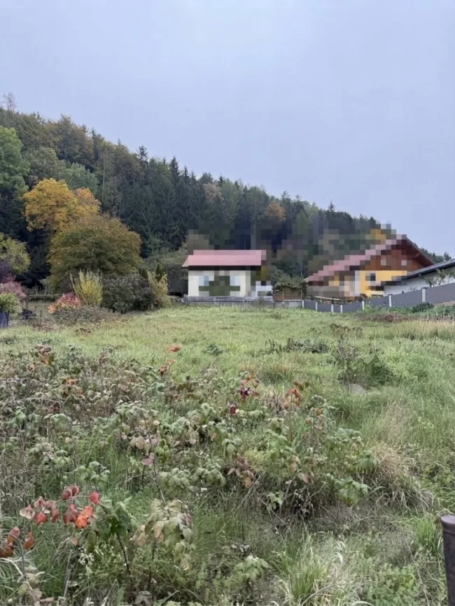 Grundstück zwischen Munderfing und Friedburg - Bild