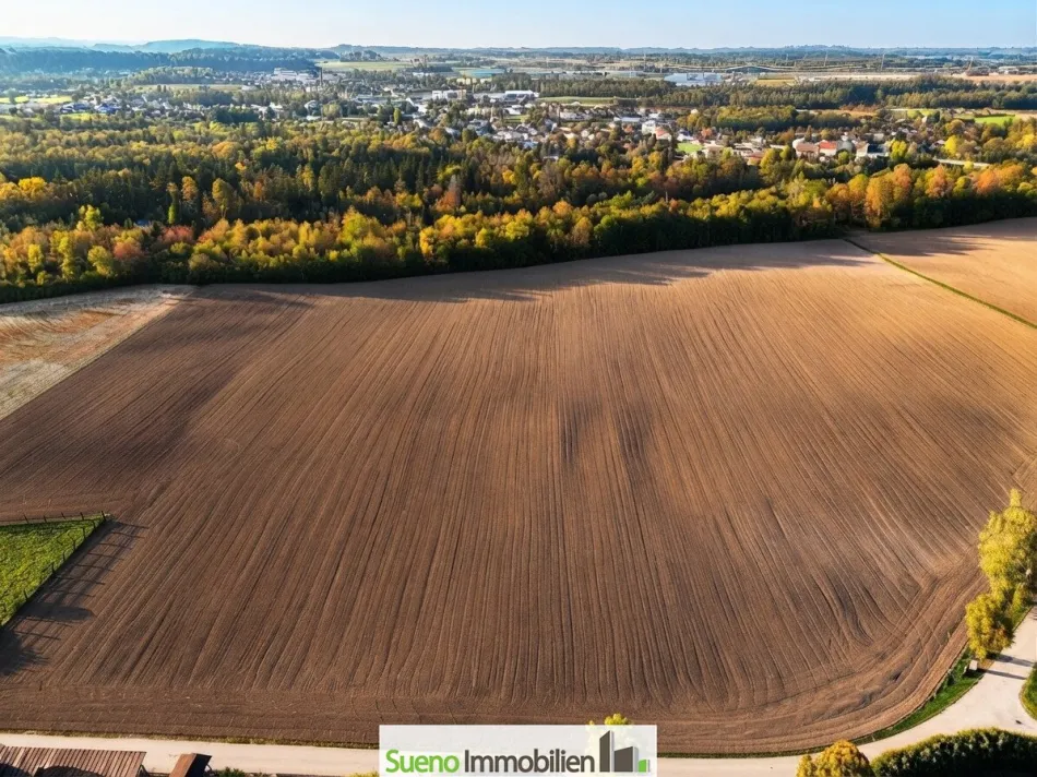 PREMIUM Acker Wels-Land! 5 Hektar komplett eben! - Bild