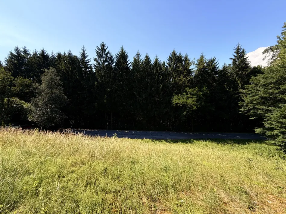 Bauland bei Burg Clam – ganz ohne Bauzwang - Bild
