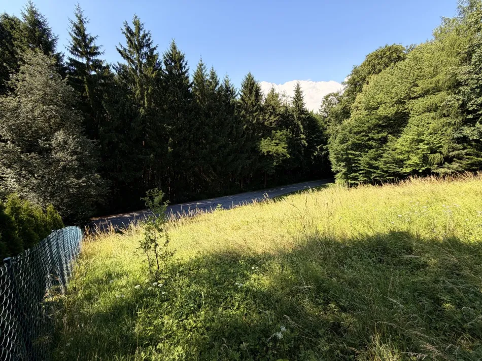 Bauland bei Burg Clam – ganz ohne Bauzwang - Bild