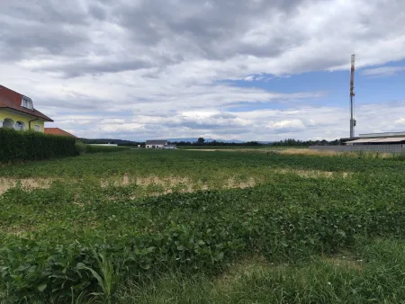 Grundstück in Oberwart, Aufschließungsgebiet-Wohngebiet 3.615,83 m2 und Bauland-Wohngebiet 954,15 m2