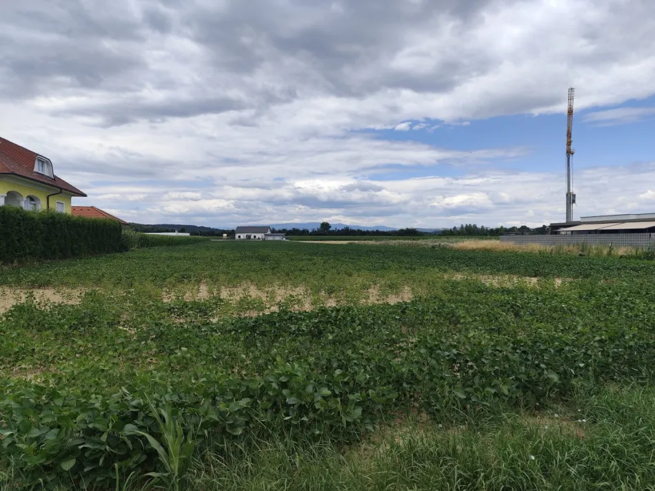 Grundstück in Oberwart, Aufschließungsgebiet-Wohngebiet 3.615,83 m2 und Bauland-Wohngebiet 954,15 m2 - Titelbild
