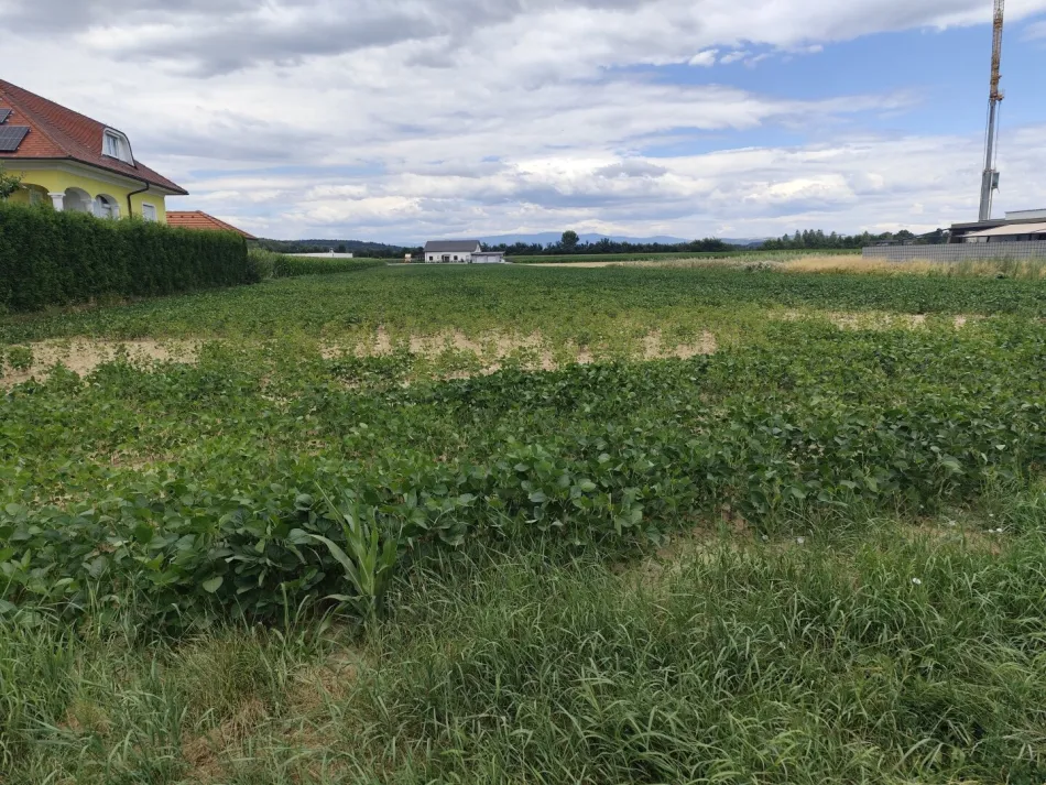 Grundstück in Oberwart, Aufschließungsgebiet-Wohngebiet 3.615,83 m2 und Bauland-Wohngebiet 954,15 m2 - Bild