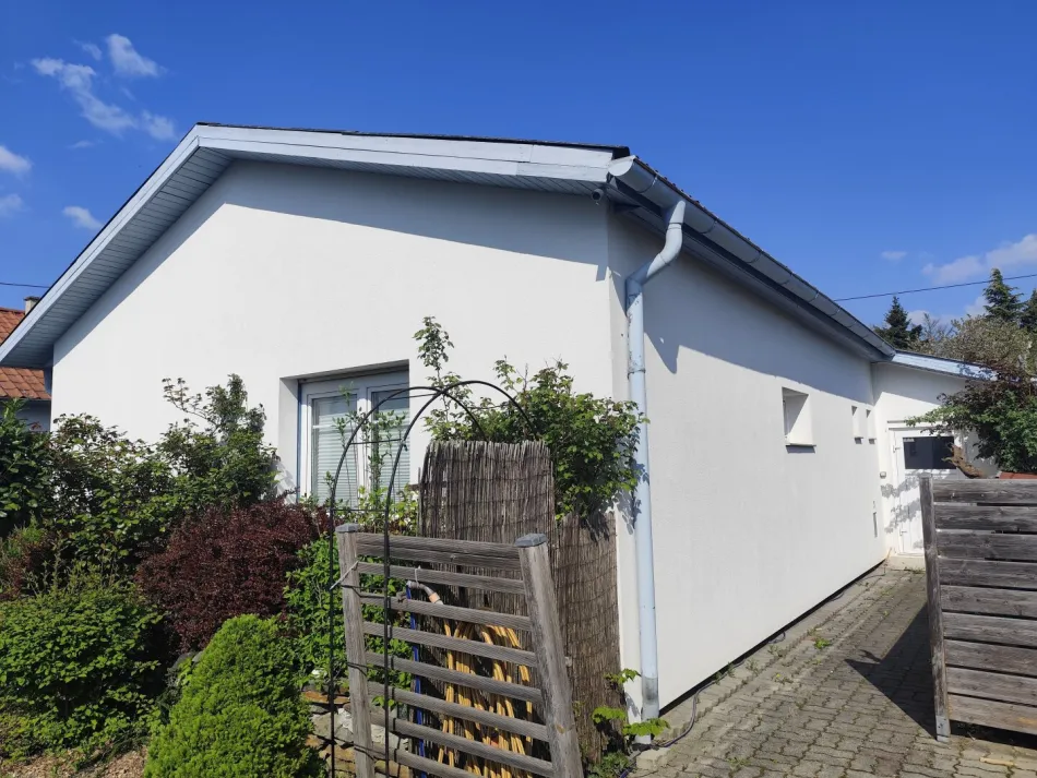 Frontansicht südlich mit Terrasse und Garten