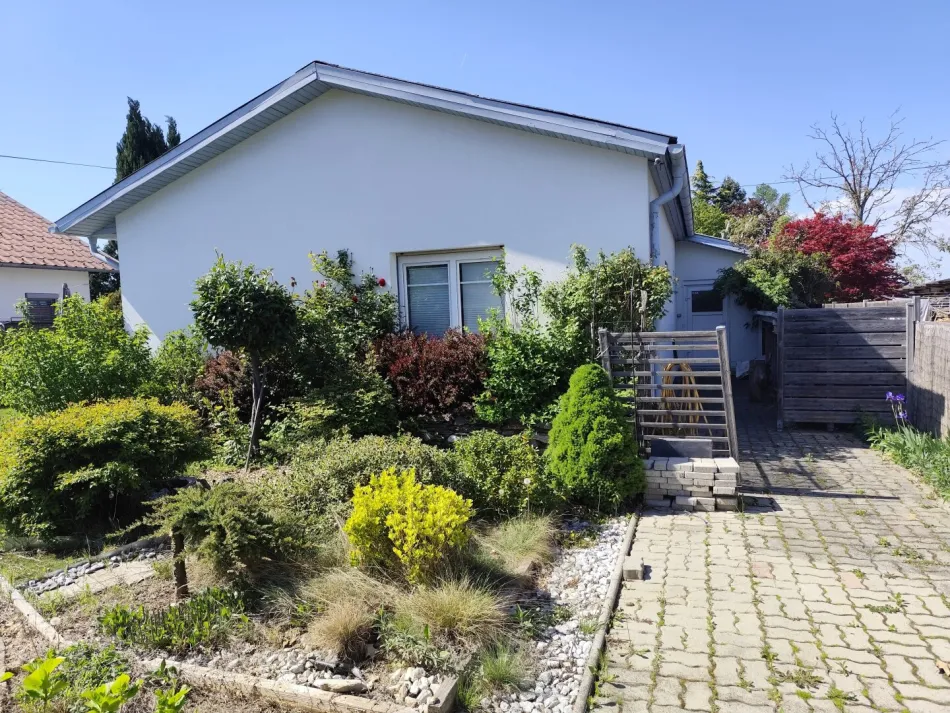 Frontansicht südlich mit Terrasse und Garten