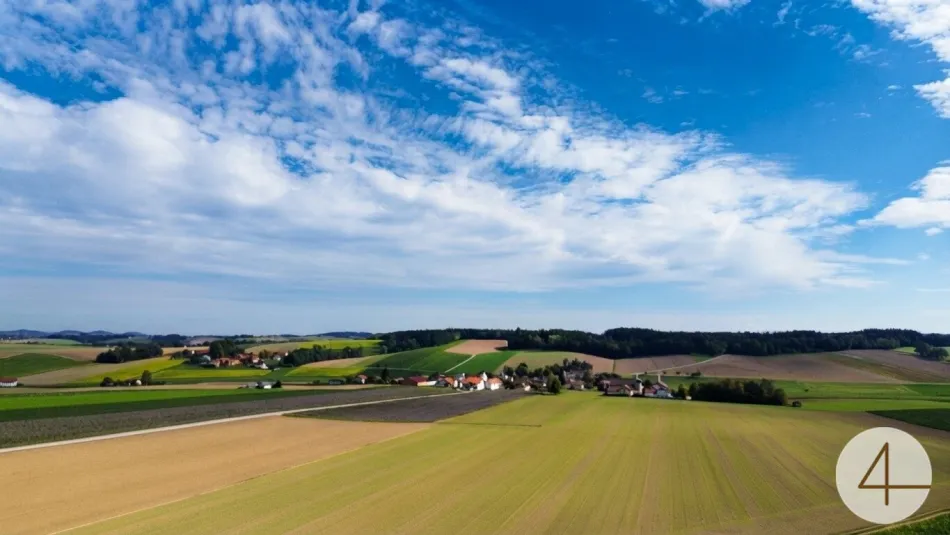 Sanierungsbedürftiges Ein- bis Zweifamilienhaus in Alleinlage - Titelbild