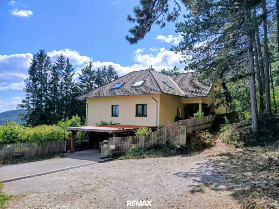 Hohe Wand - Einfamilienhaus mit 3 Wohneinheiten auf 1.100 m² Grund! - Titelbild