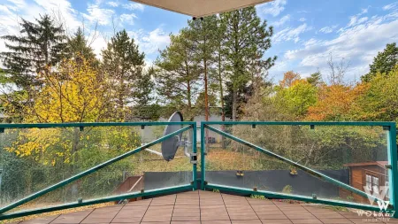 Blick von Balkon/Terrasse ins Grüne