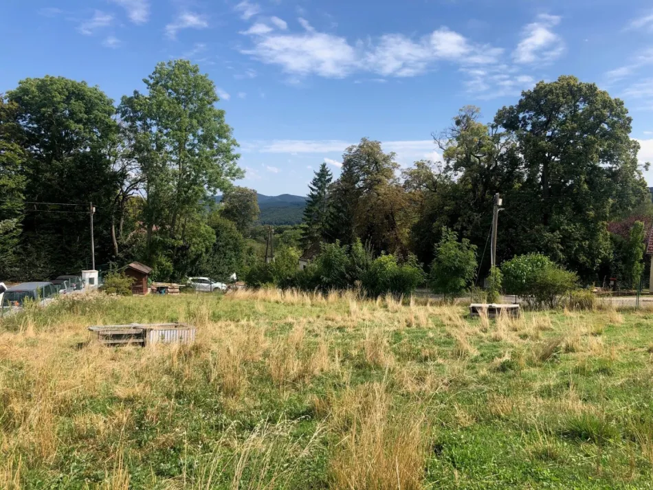 Sonniges, unbebautes Baugrundstück mit etwas Aussicht in Breitenfurt West - Bild