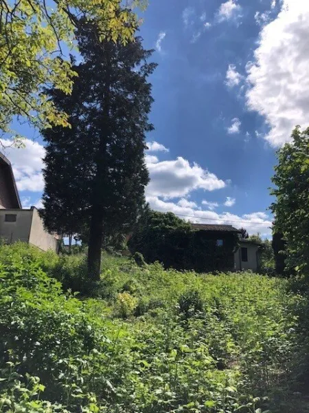 Wunderschönes Baugrundstück mit schöner Aussicht in Breitenfurter Grünruhelage - Titelbild