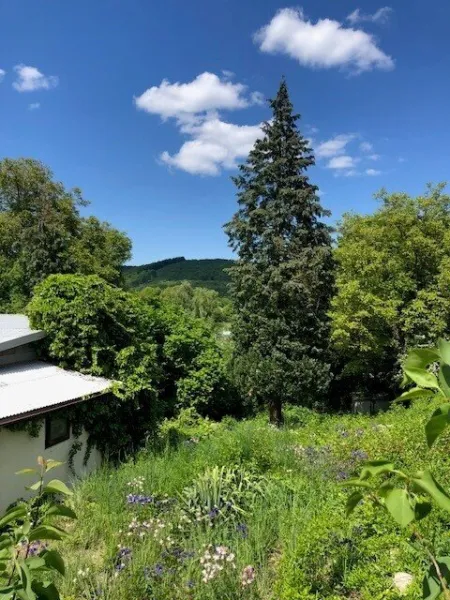 Wunderschönes Baugrundstück mit schöner Aussicht in Breitenfurter Grünruhelage - Bild