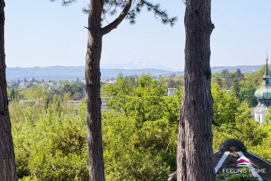 Exklusive Lage mit Weitblick: Historische Villa in Grinzing mit Panorama bis zum Schneeberg und magischen Abendstimmungen - Titelbild