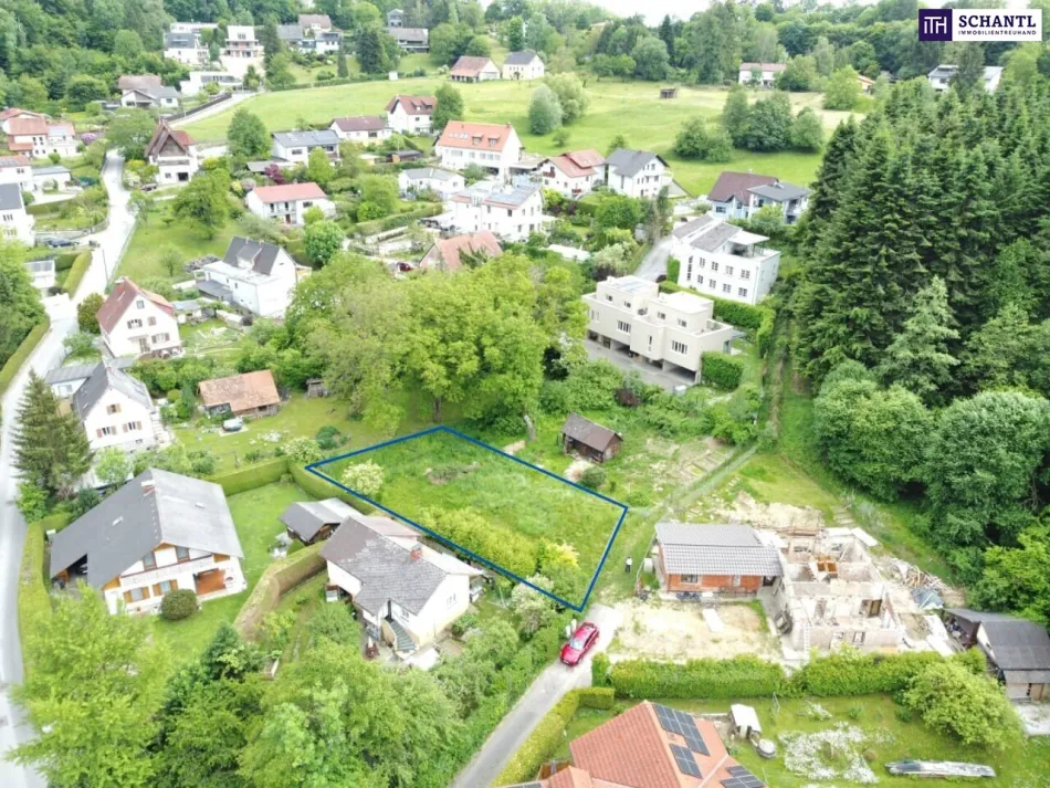 Am Waldrand bauen – und trotzdem nah zur Stadt! - Bild