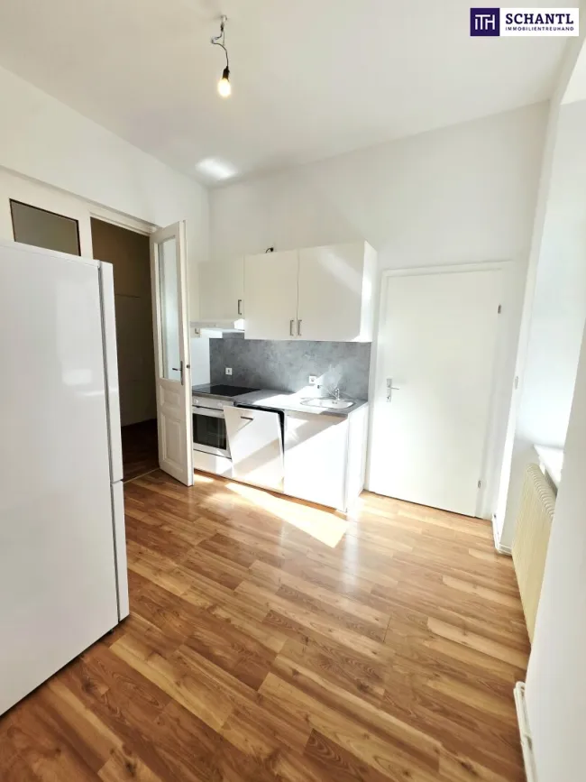 Altbaucharme im Servitenviertel! Kompakt Wohnen im 9. Bezirk! Traumhaft schönes Altbauhaus + Ruhige Seitengasse + Grünblick + Beste Infrastruktur und Anbindung! - Bild