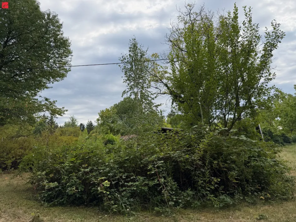 Naturidylle in absoluter Ruhelage - Bild