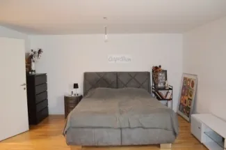 Zimmer KG