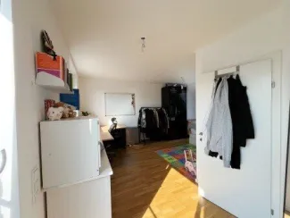 Zimmer DG