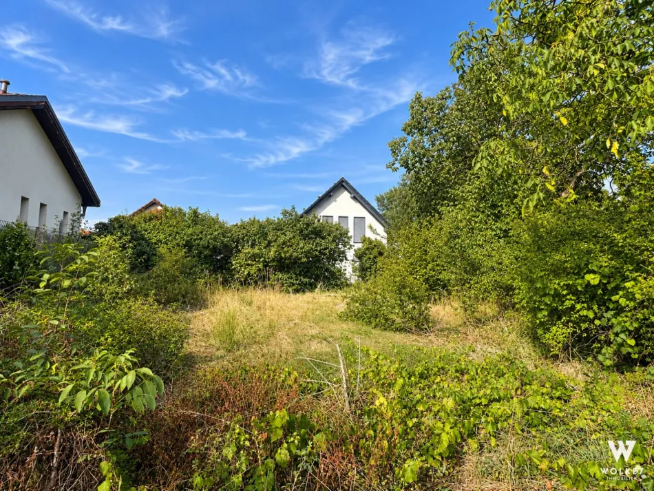 Attraktives Baugrundstück mit 998 m² in begehrter Haidhofsiedlung - Baden - Bild