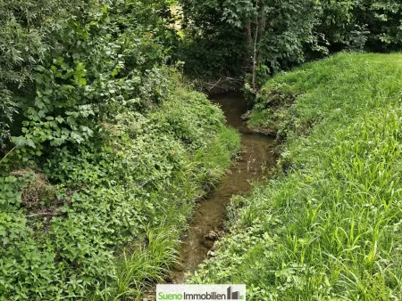 Idyllischer Bach neben dem Objekt