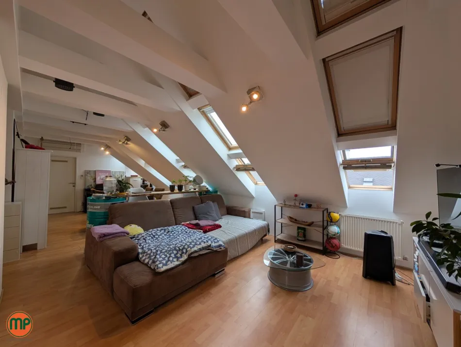 URBANES LOFT-FEELING über den Dächern Wiens - Titelbild
