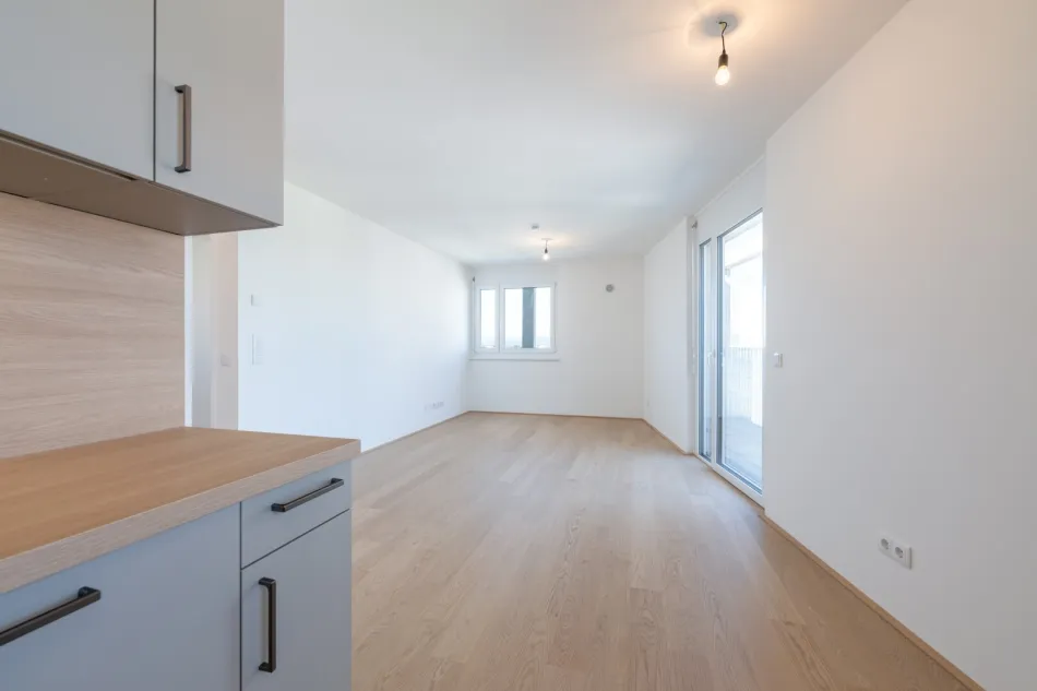 ERSTBEZUG bei der ALTEN DONAU - 3 ZIMMER, Fernblick im 8. Stock - Titelbild