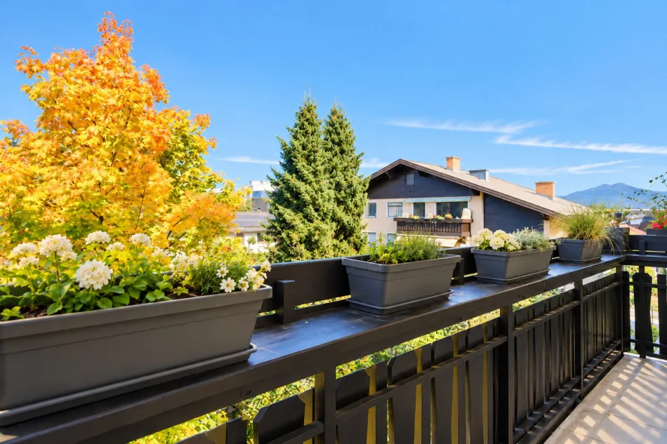 Wohnglück in Himmelreich – gepflegte 2-Zimmer-Wohnung mit Balkon - Titelbild