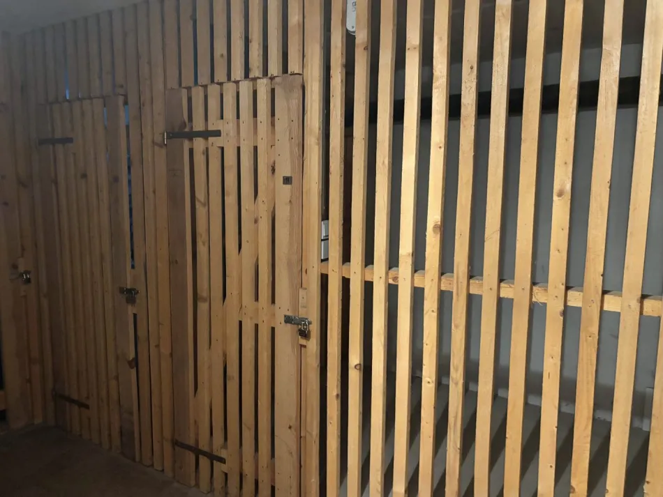 ... reserviert ... `` BEZUGSBEREIT `` Güssing !! Gepflegte Wohnung. mit ca. 65 m2 Nfl. im 3.OG. in Stadtrandlage. - Bild