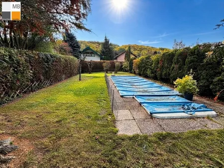 Garten und Pool