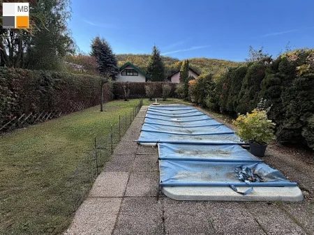 Pool und Garten