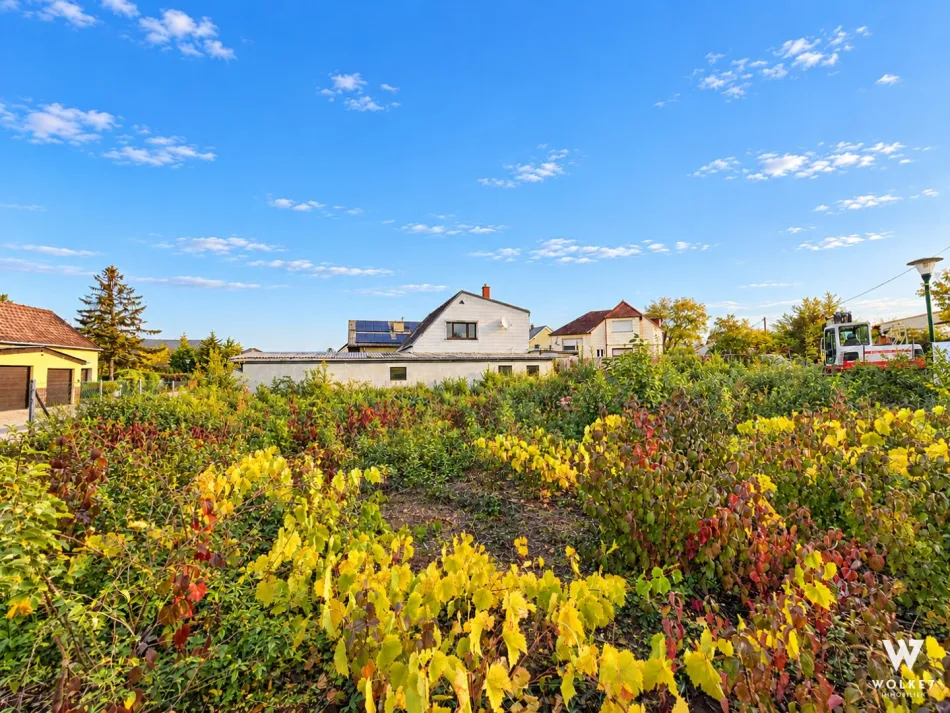 Grundstück in Hagenbrunn | Nähe Wien | ca. 652 m2 | 35% Bebauungsdichte | Bauklasse I - Bild
