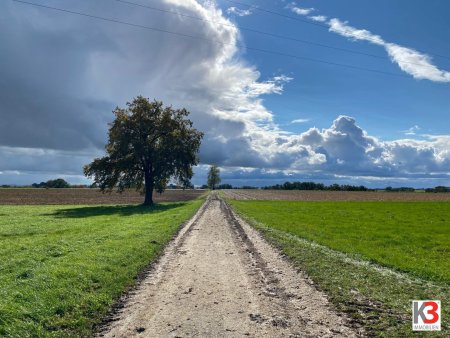 K3 - Nähe Bad Füssing - alter 4 - Seitenhof mit ca. 15 ha besten ertragreichen Ackerboden!!! PANORAMALAGE
