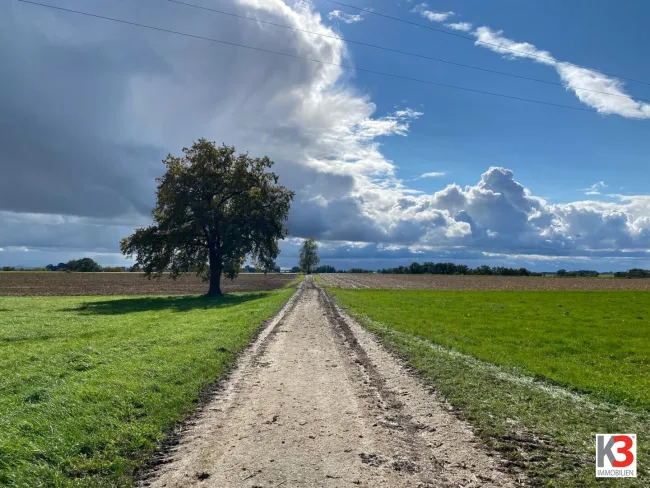 K3 - Nähe Bad Füssing - alter 4 - Seitenhof mit ca. 15 ha besten ertragreichen Ackerboden!!! PANORAMALAGE - Bild