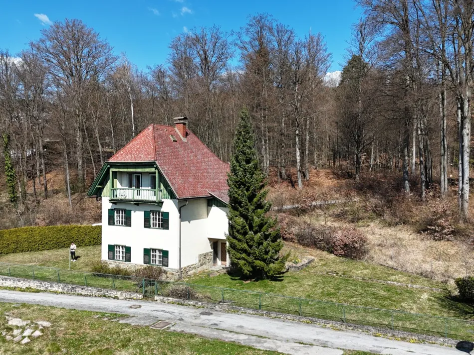 Landhaus von 1930 am Waldrand – drei Ebenen und viel Raum für Ideen– Zentrum zu Fuß erreichbar - Titelbild