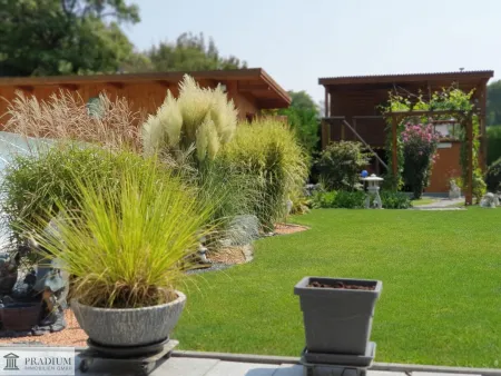 Fotos aus dem Sommer