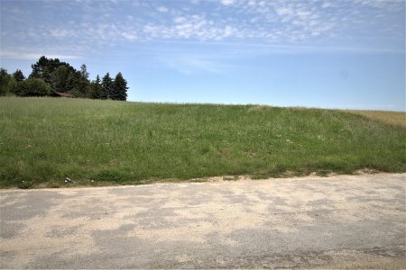 Blick vom Hauseingang ins Grünland