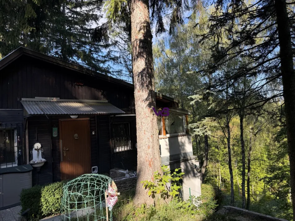 Einfamilienhaus in idyllischer Waldrandlage im Augustinerwald! - Titelbild